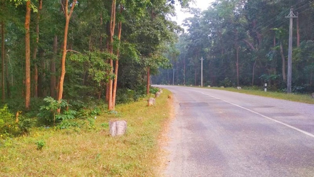 स्थल र हवाई यातायात सुविधाले बाँके राष्ट्रिय निकुञ्जमा पर्यटकलाई घुम्न सहज 